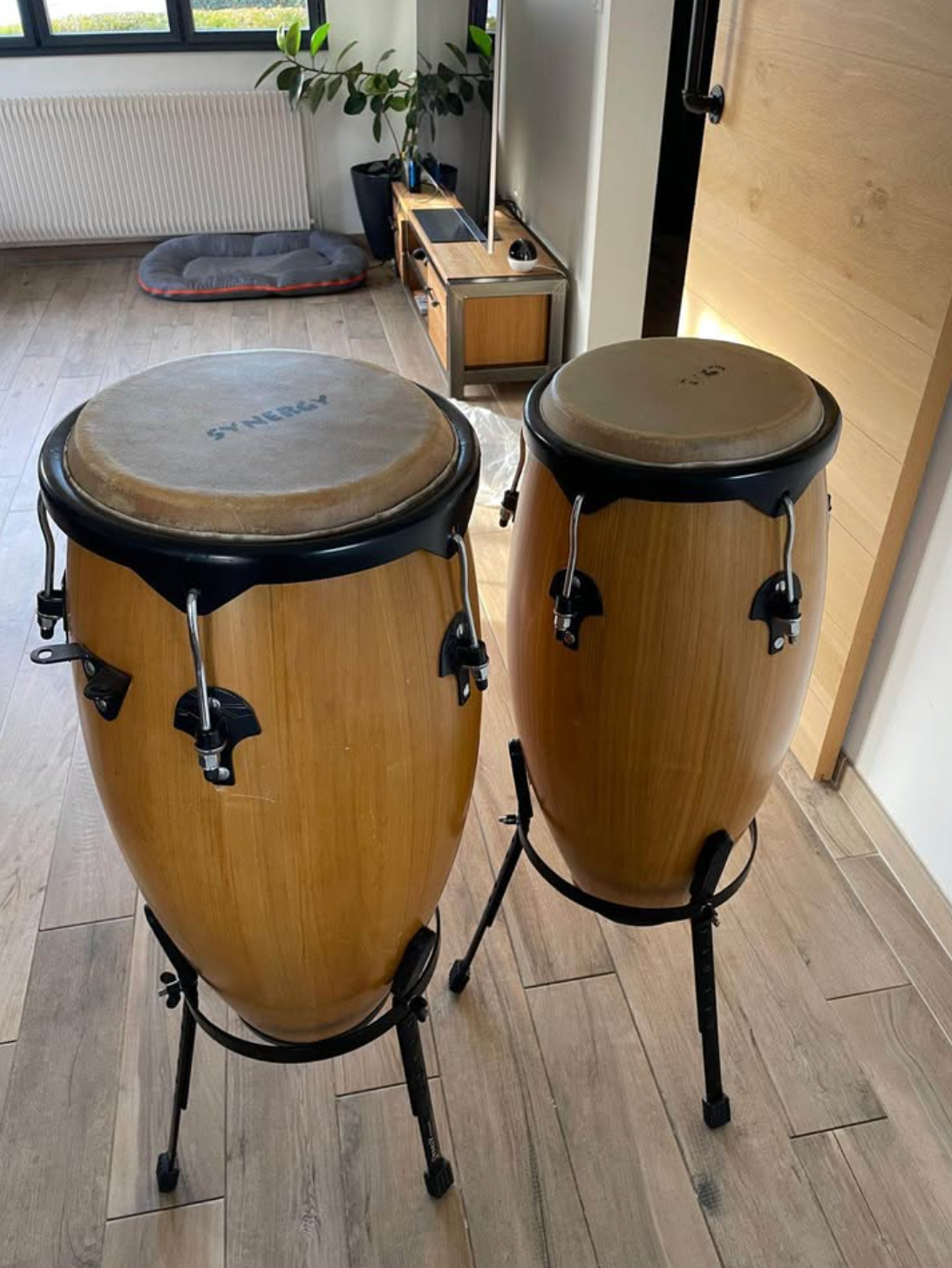 Paire de Congas