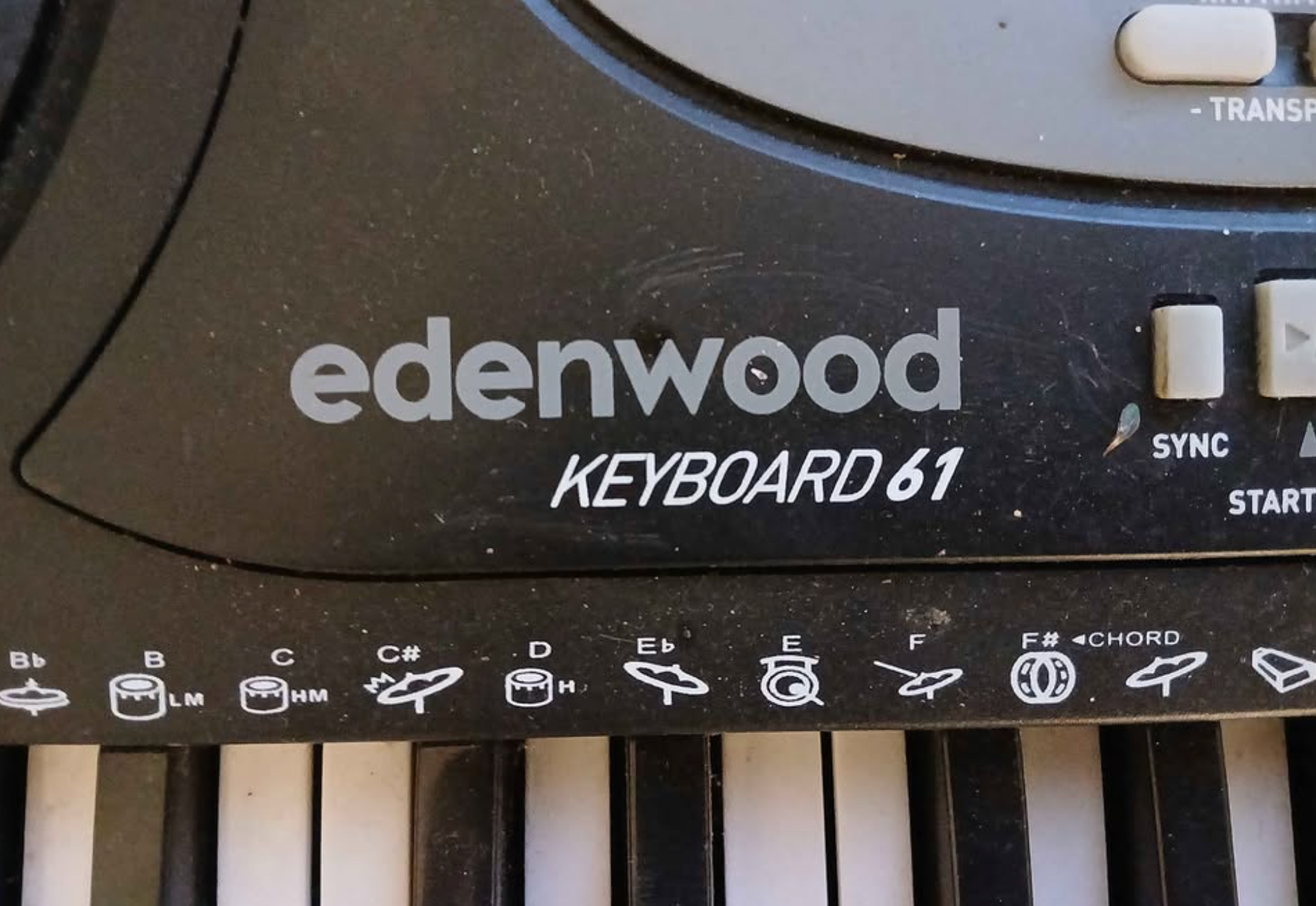 Synthétiseur edenwood